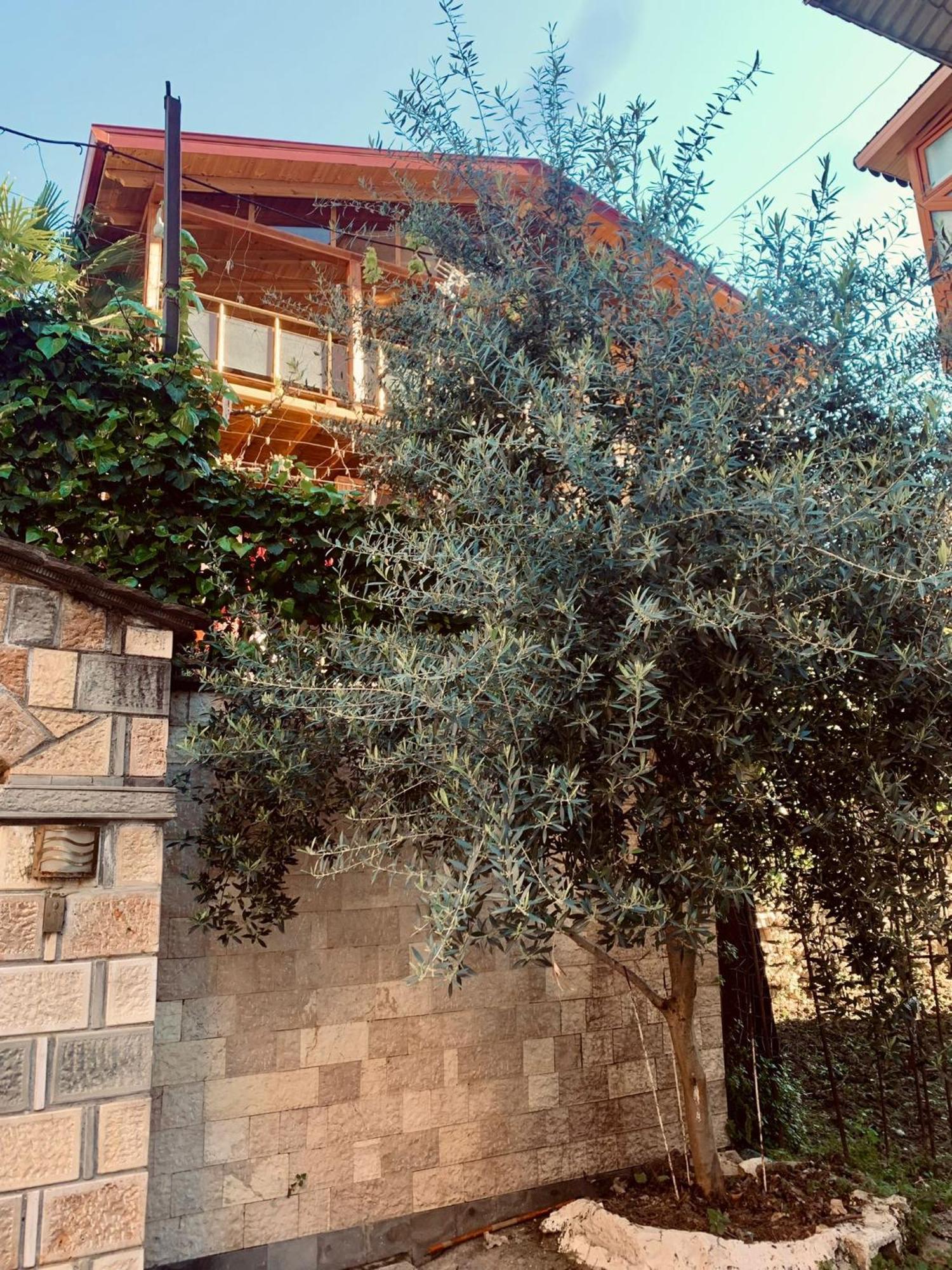 Alimeti Guesthouse Berat Exterior photo