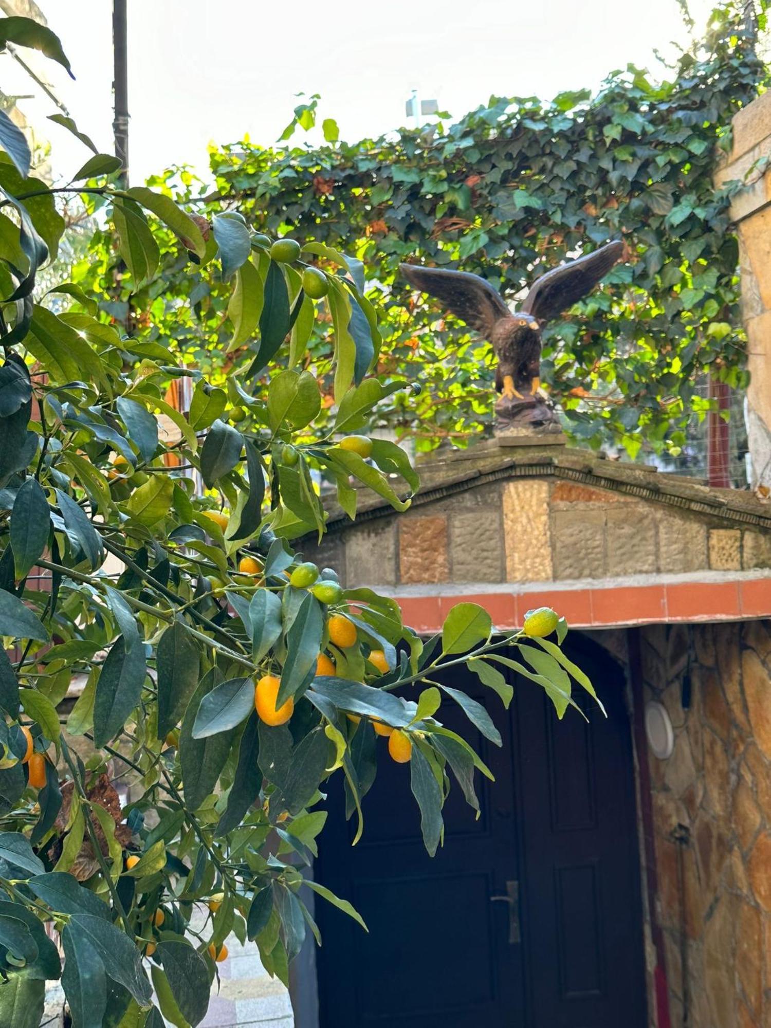 Alimeti Guesthouse Berat Exterior photo